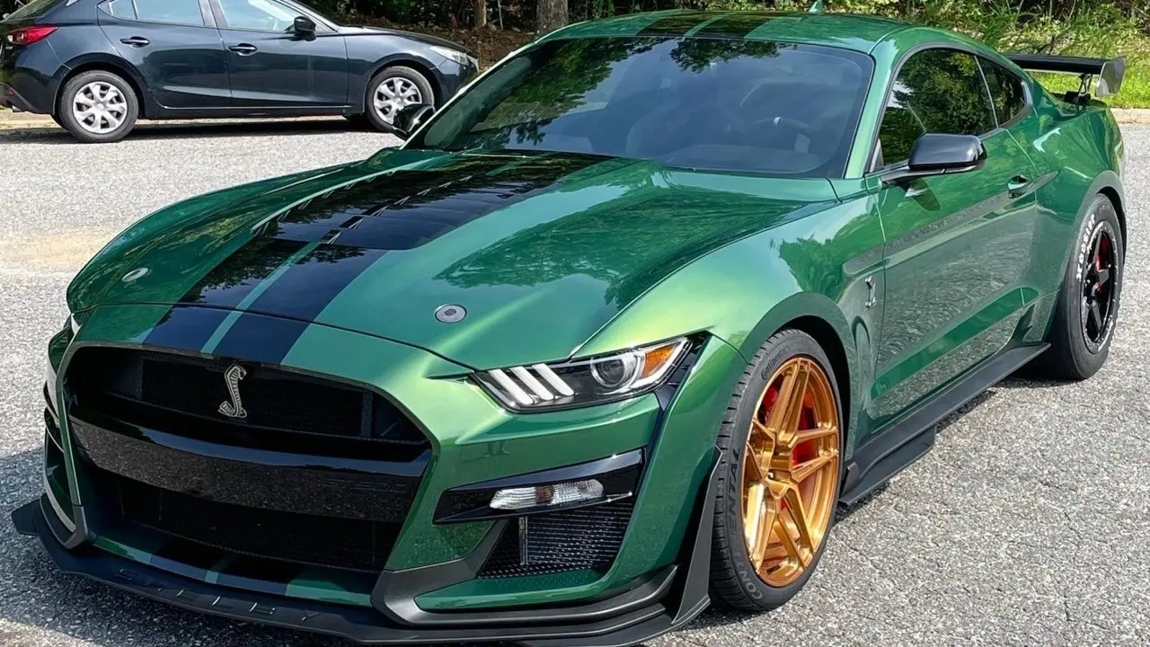 Shelby GT500 after paint correction